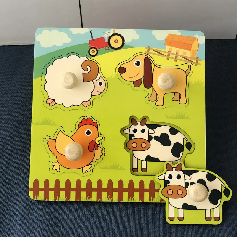 Wooden Shape Matching Puzzle Toy
