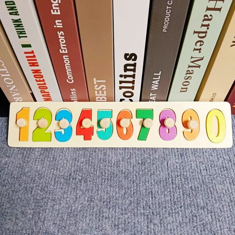 Wooden Shape Matching Puzzle Toy