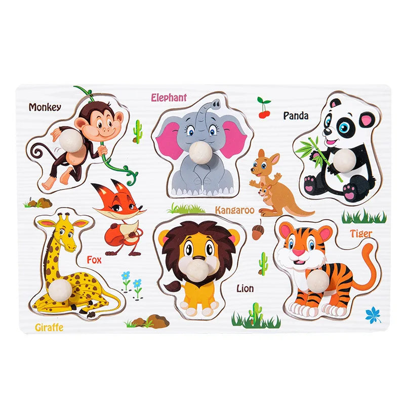 Wooden Shape Matching Puzzle Toy